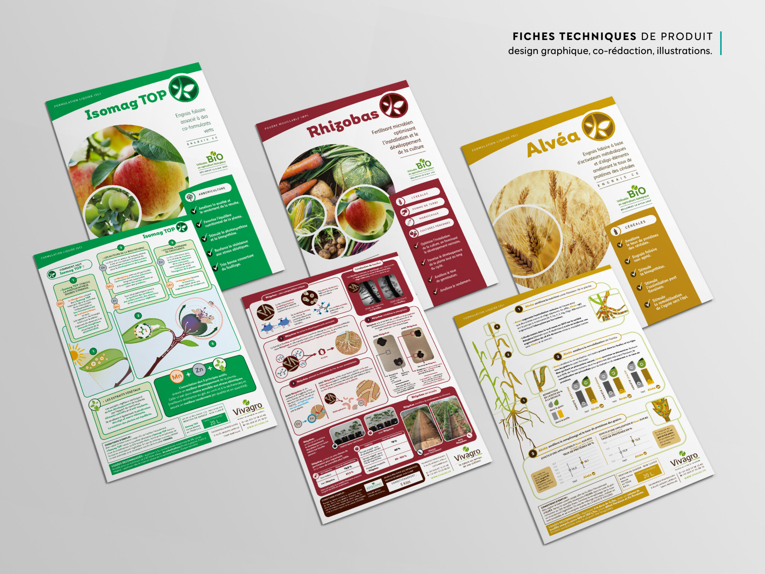 Projet_Vivagro_fiches_produits_Scarabeo_creations-Design-ar-nature-logo-illustration-logotype-design-de-marque-bordeaux-aquitaine-pascaline-grand.jpg