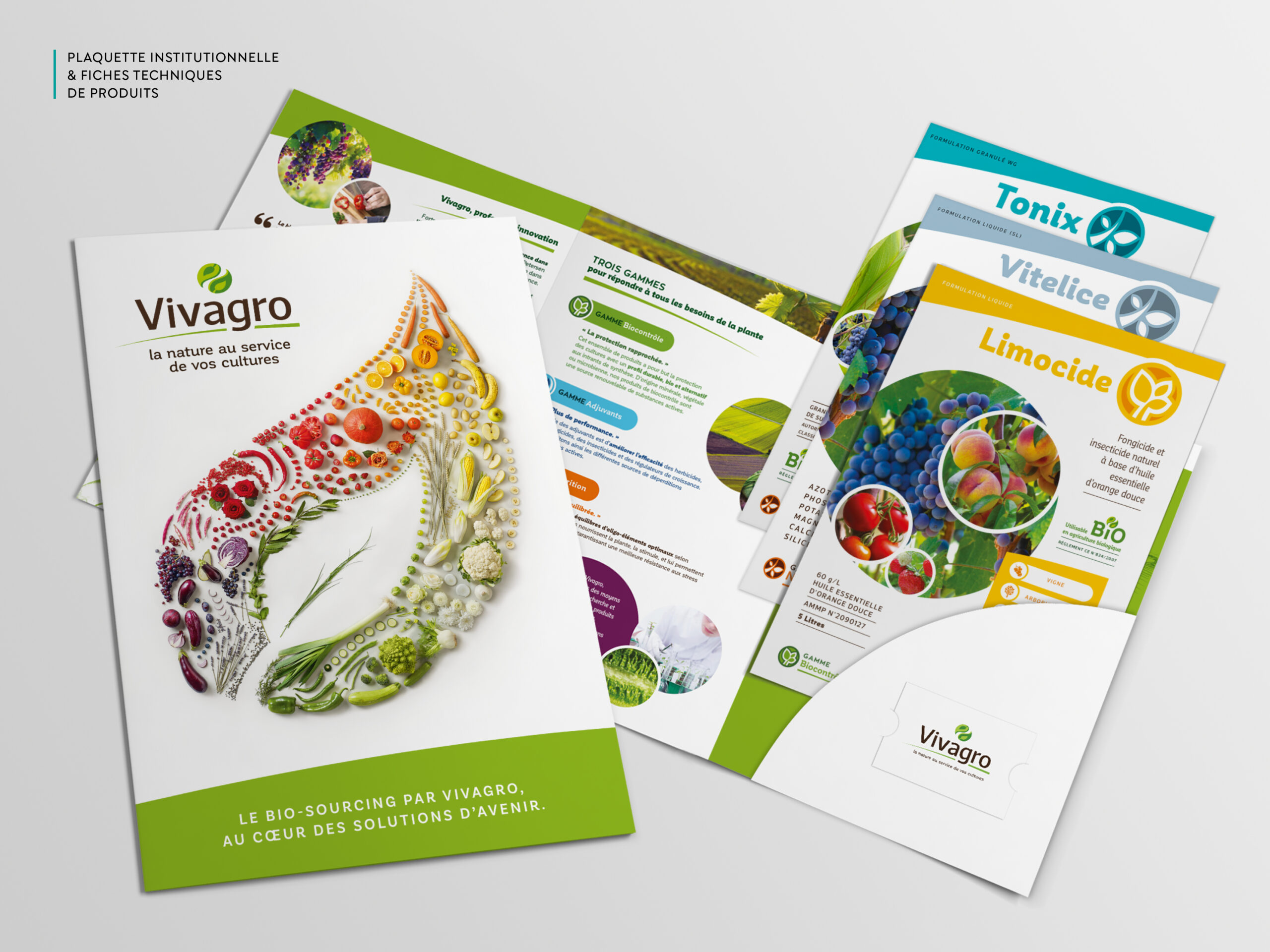Projet_Vivagro_plaquette_Scarabeo_creations-Design-ar-nature-logo-illustration-logotype-design-de-marque-bordeaux-aquitaine-pascaline-grand.jpg