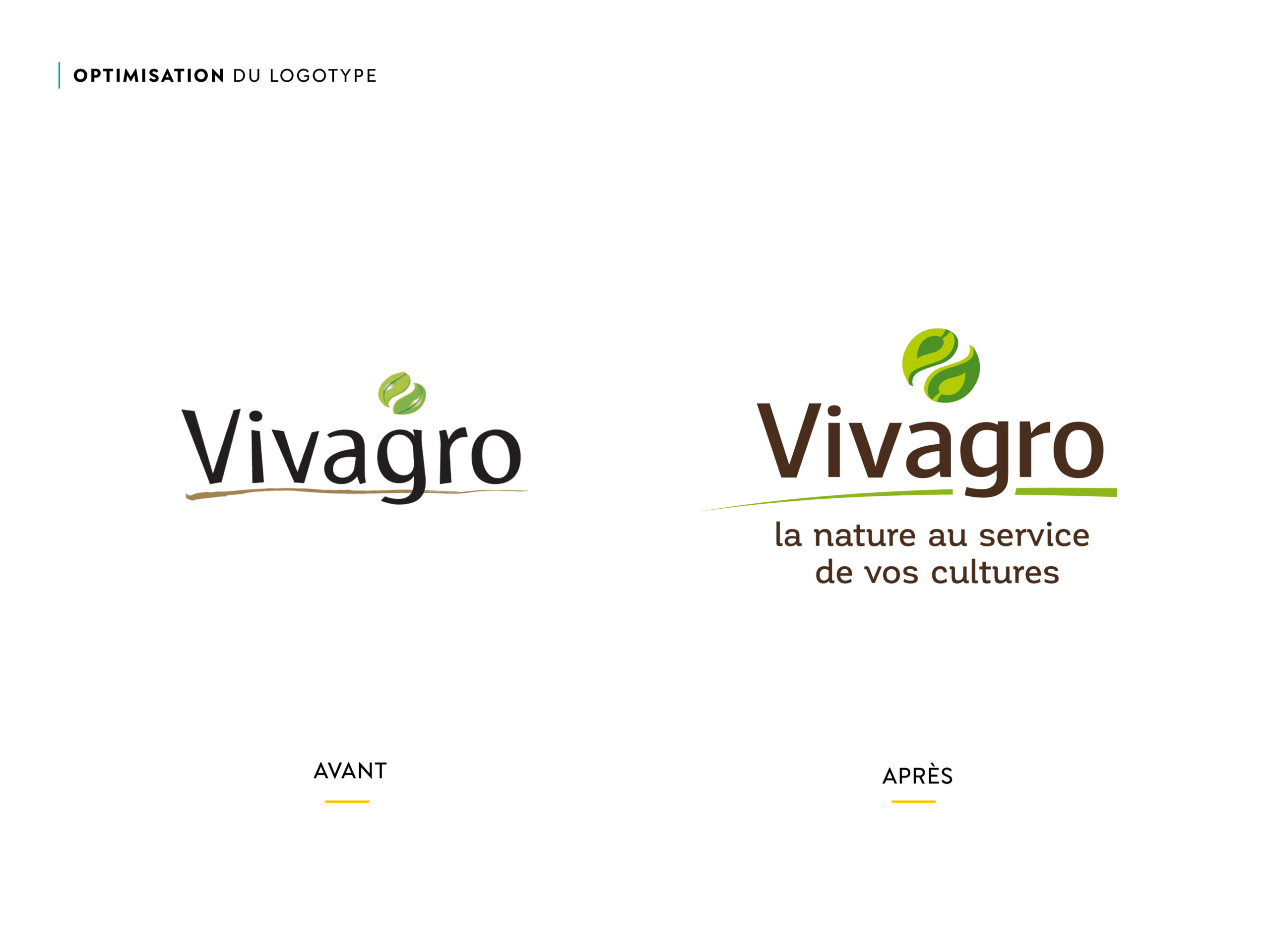 Projet_Vivagro_refonte_logo_Scarabeo_creations-Design-ar-nature-logo-illustration-logotype-design-de-marque-bordeaux-aquitaine-pascaline-grand
