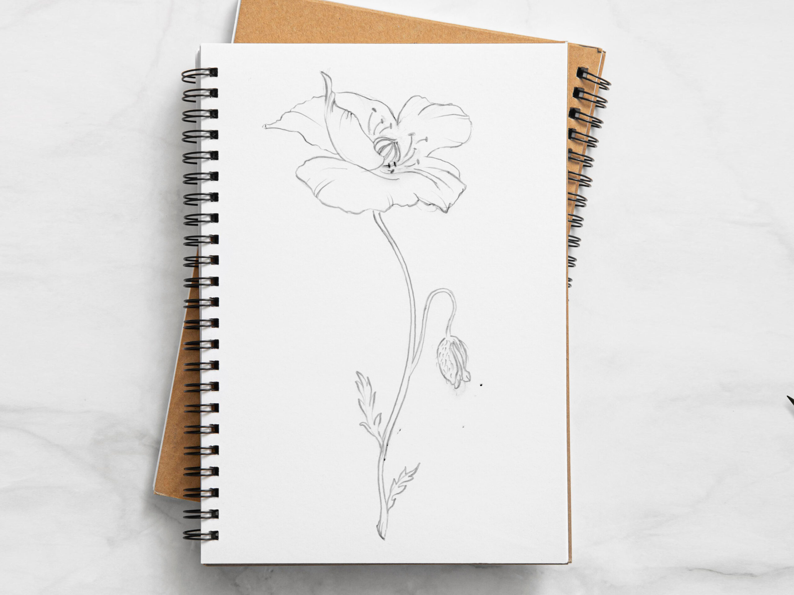 Projet_Chateau_les_Garelles_Couverture_Scarabeo_creations-Design-ar-nature-logo-illustration-logotype-design-de-marque-bordeaux-aquitaine-pascaline-grand2